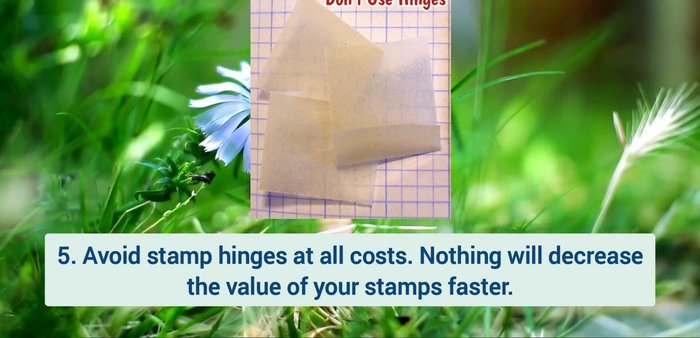 Only make one scan/photocopy of stamps and covers. Make copies of that copy if further duplicates are needed to avoid fading.