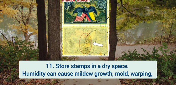 Store stamps in a dry space with humidity controlled between 35-55% to prevent mildew and warping.