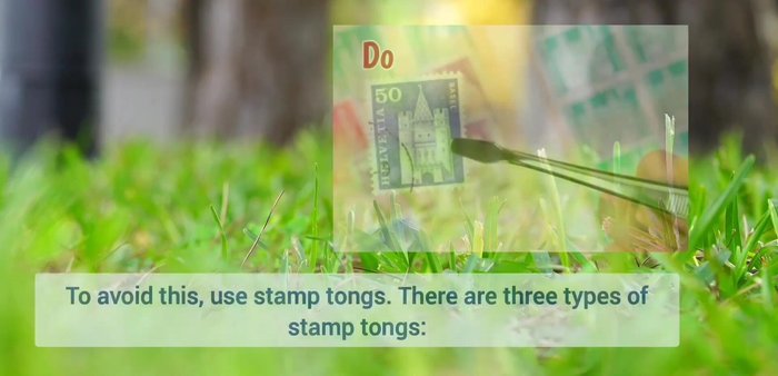 Use acid-free paper for albums and storage to prevent yellowing and damage.