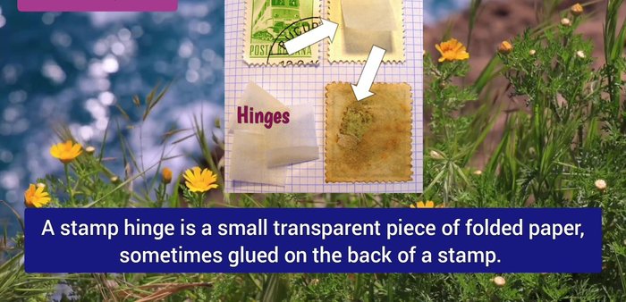 Inspect for Hinges/Mounts: Hinges (paper used to attach stamps to albums) decrease value even after removal. Stamps without hinges retain original gum and are more valuable.