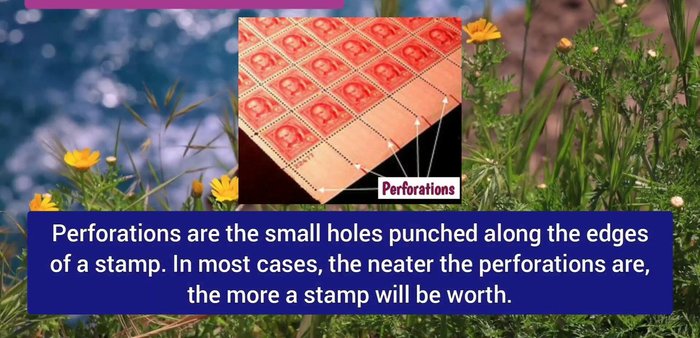 Note Thinning: Rubbing or thin areas reduce value based on severity.