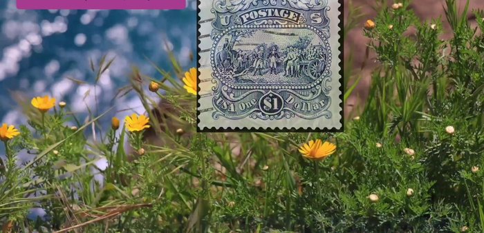 Inspect for Hinges/Mounts: Hinges (paper used to attach stamps to albums) decrease value even after removal. Stamps without hinges retain original gum and are more valuable.