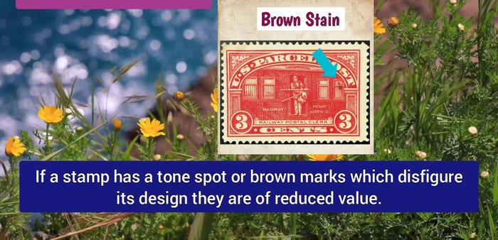 Observe Paper Imperfections: Small, natural paper imperfections on the back usually have no effect. Visible imperfections on the front may result in a minor deduction.