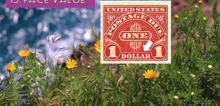 Note Face Value: Higher denominations are often more valuable due to rarity.