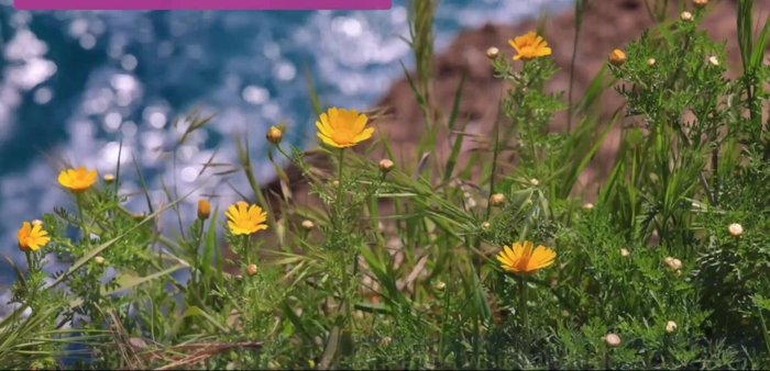 Check Margins and Envelope Attachment: Sheet margins with control numbers, plate numbers, or printer's imprints increase value. Stamps on original envelopes with special cancellation marks can also be worth more.