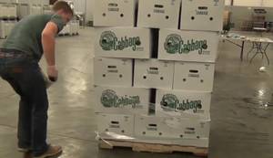 Optimal Pallet Stacking and Wrapping Techniques for Produce Shipping