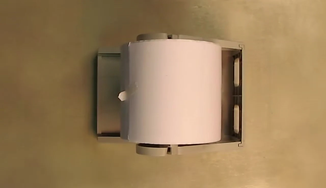 Roll of labels inserted into the holder