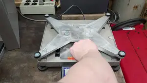 How to Change a Mettler Toledo PS60 Scale from Pounds Only to Pounds and Ounces